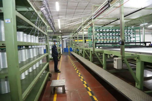 圖說環(huán)境變化 走進(jìn)智能制造工廠，探秘玻纖環(huán)保科技的技術(shù)新突破