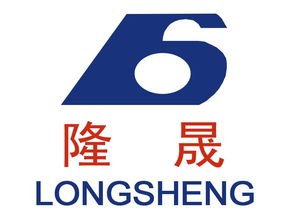 蘭州隆晟包裝食品機(jī)械與雪鵬科技 專(zhuān)注食品機(jī)械，賦能行業(yè)高效生產(chǎn)